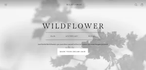 Wildflower image